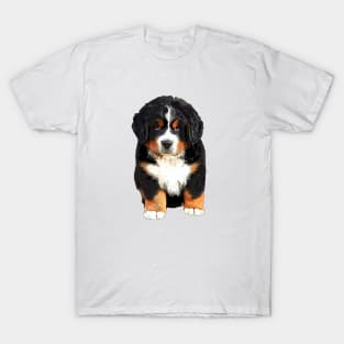 Bernese Mountain Dog Puppy - Super Cute! T-Shirt